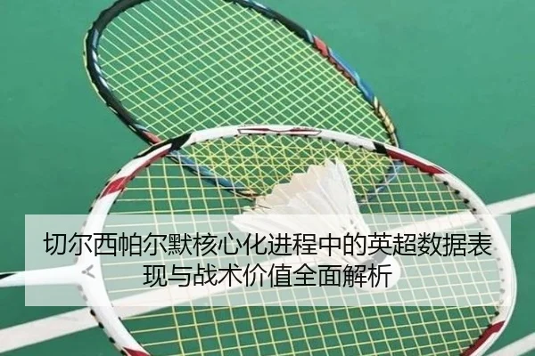 切尔西帕尔默核心化进程中的英超数据表现与战术价值全面解析