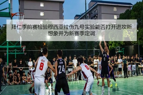 img_1781734485819_3250_0_593.jpg