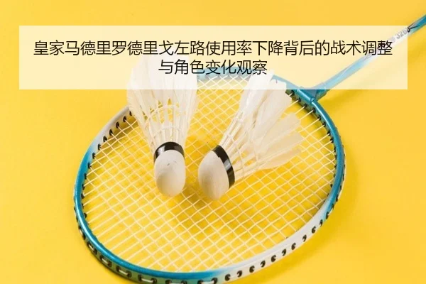 皇家马德里罗德里戈左路使用率下降背后的战术调整与角色变化观察